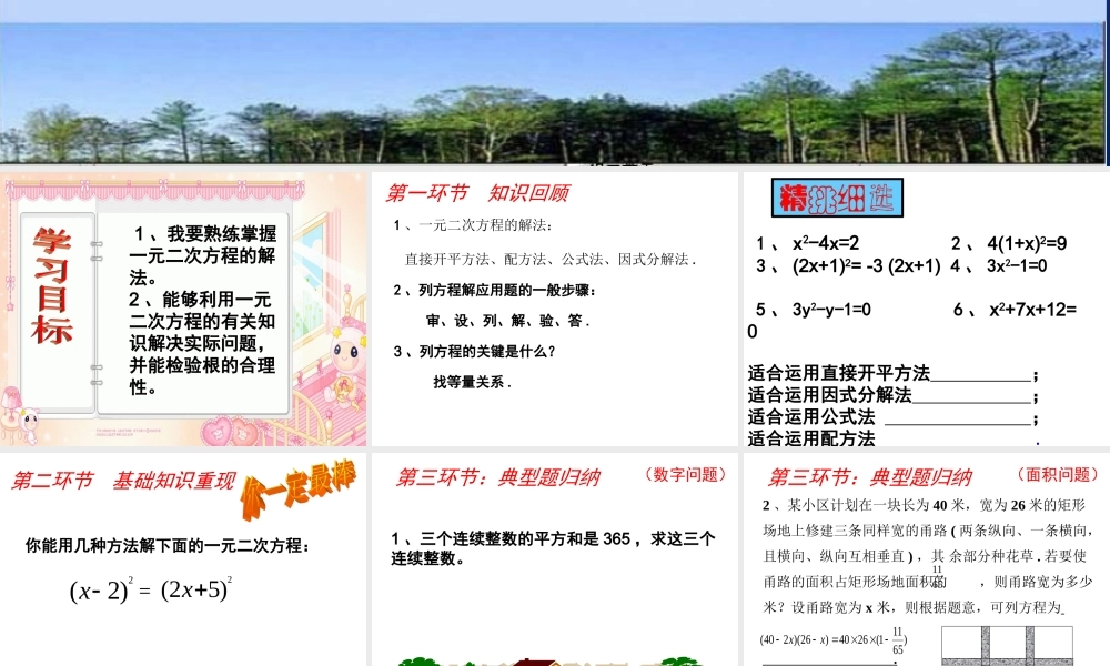 《一元二次方程》复习课（二）课件