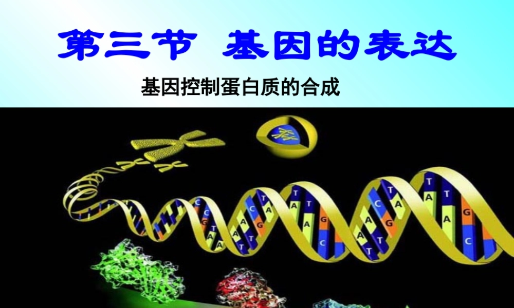 基因的表达、基因对性状的控制