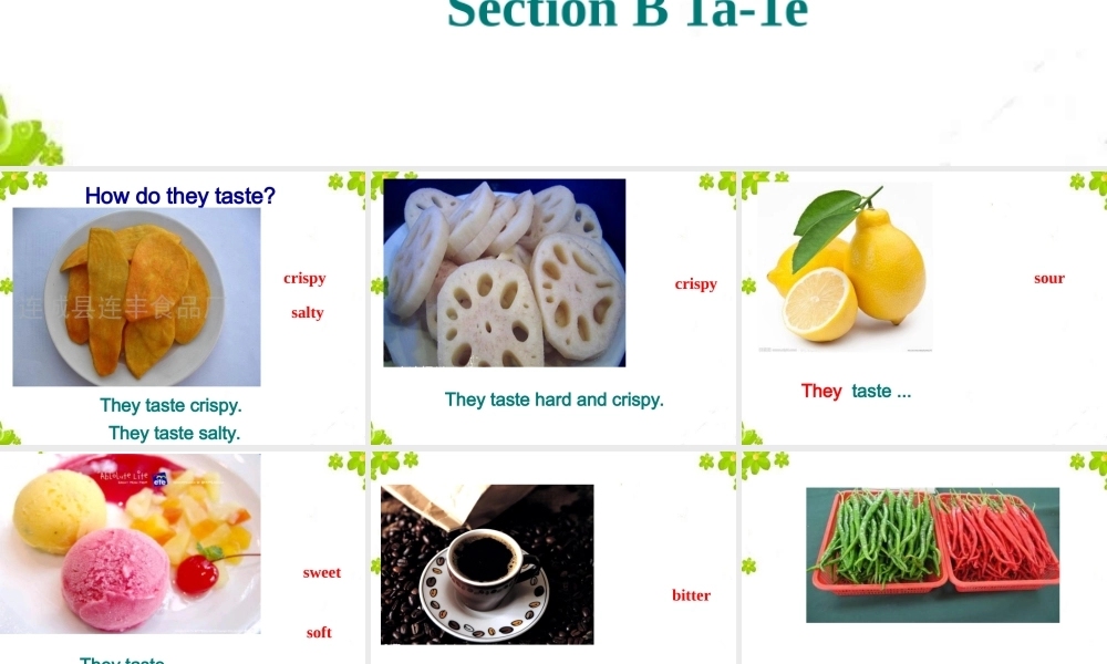 人教版九年级Unit6SectionB1a-1e课件