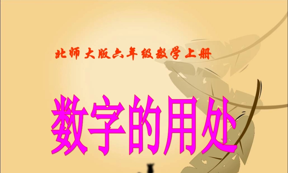 （北师大版）六年级数学上册课件数字的用处1