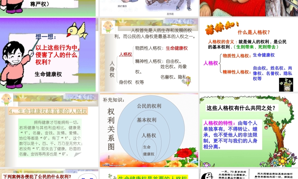 生命与健康的权利 (2)