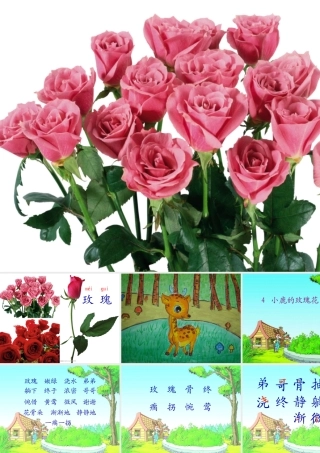 小鹿的玫瑰花 