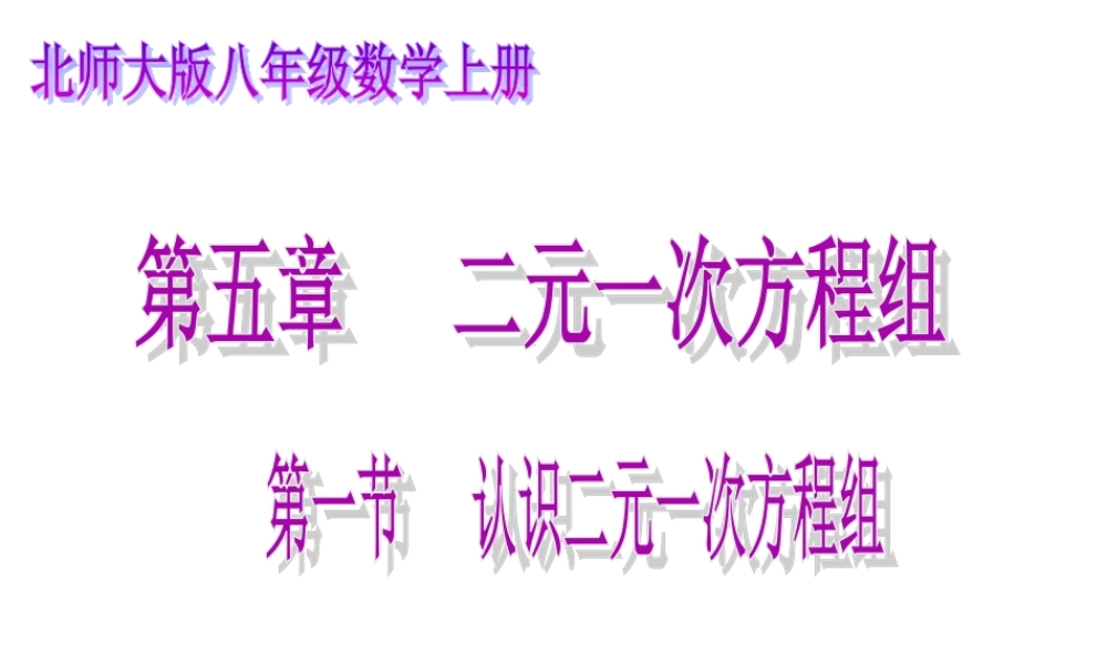 认识二元一次方程组