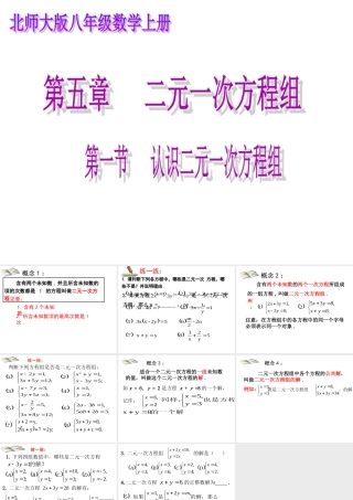 认识二元一次方程组