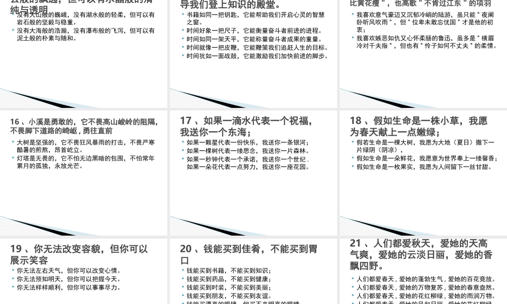 中考复习专题_仿句练习