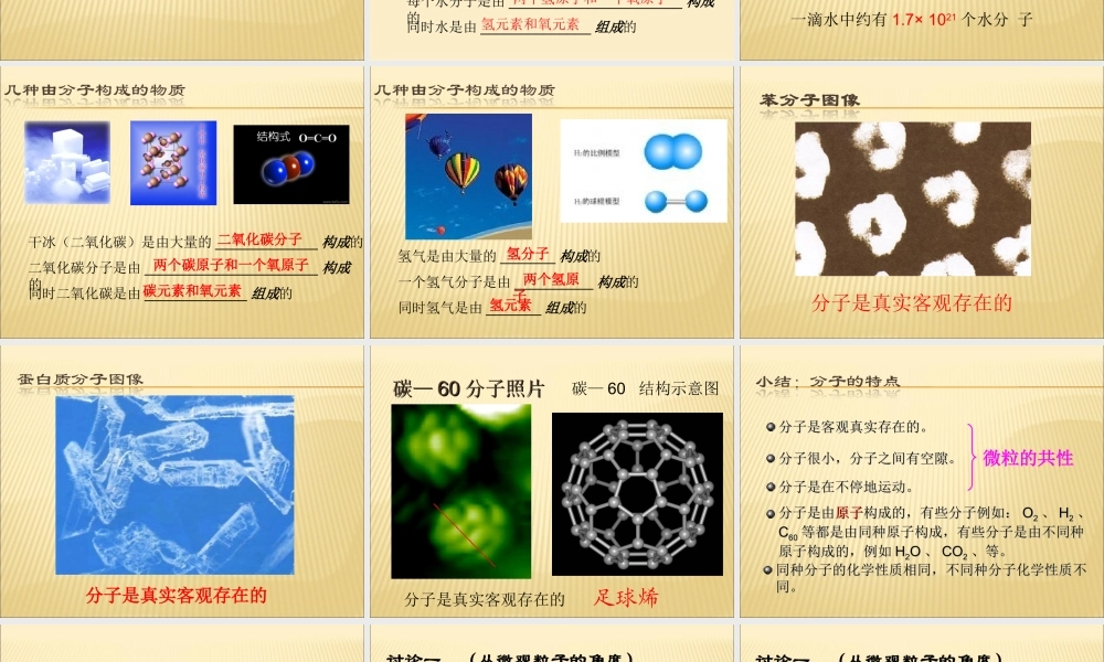 构成物质的微粒 (2)