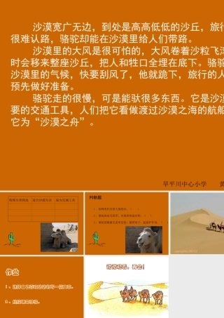 沙漠之舟（课件）