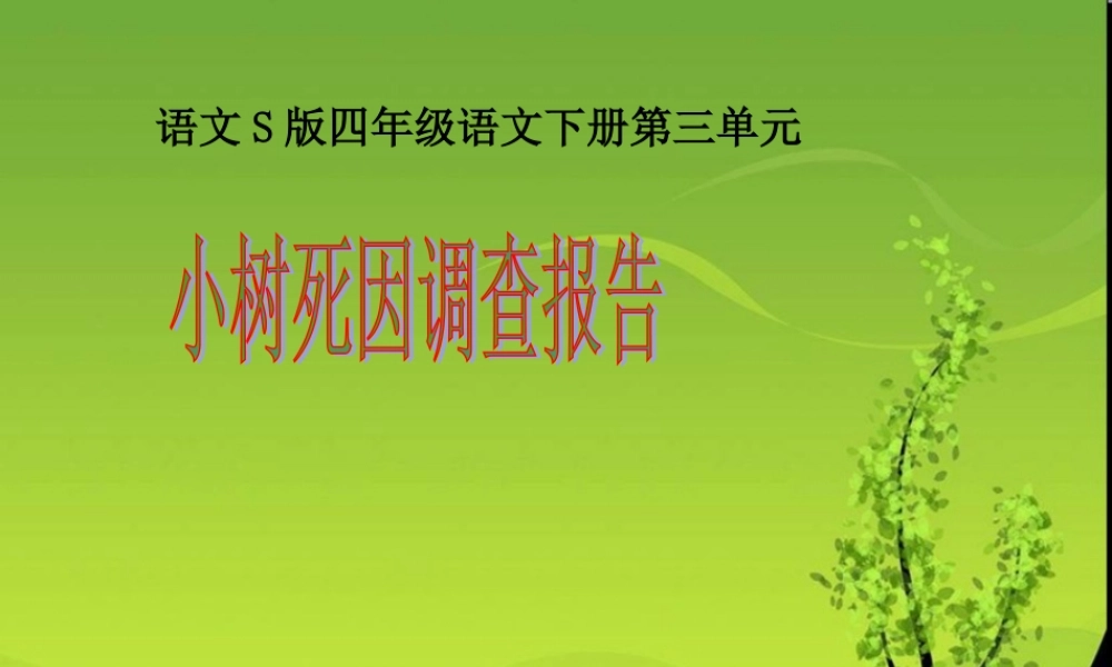 小树死因调查报告课件（语文S版四年级下册）