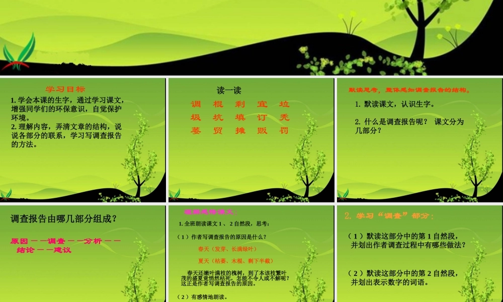 小树死因调查报告课件（语文S版四年级下册）