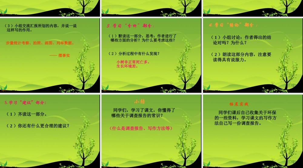 小树死因调查报告课件（语文S版四年级下册）