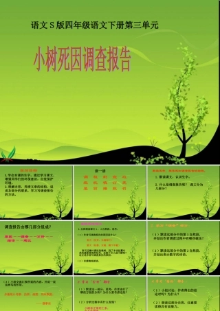 小树死因调查报告课件（语文S版四年级下册）