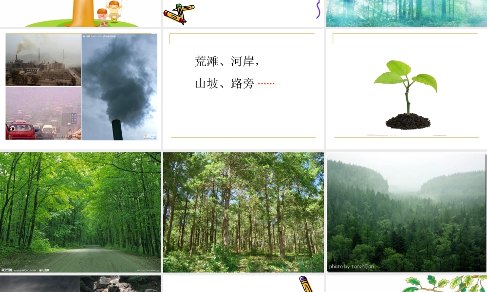 我们去植树课件