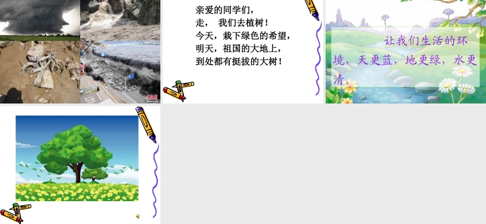 我们去植树课件