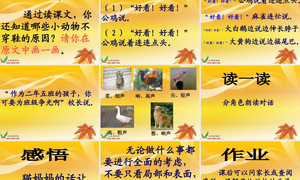 教科版二年级语文下册《小猫咪穿鞋子_2》PPT课件 (2)