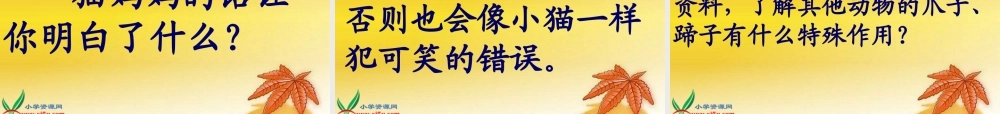 教科版二年级语文下册《小猫咪穿鞋子_2》PPT课件 (2)