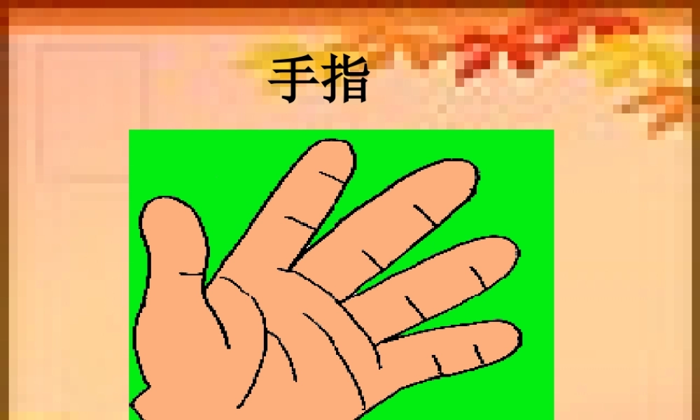 《手指》课件4