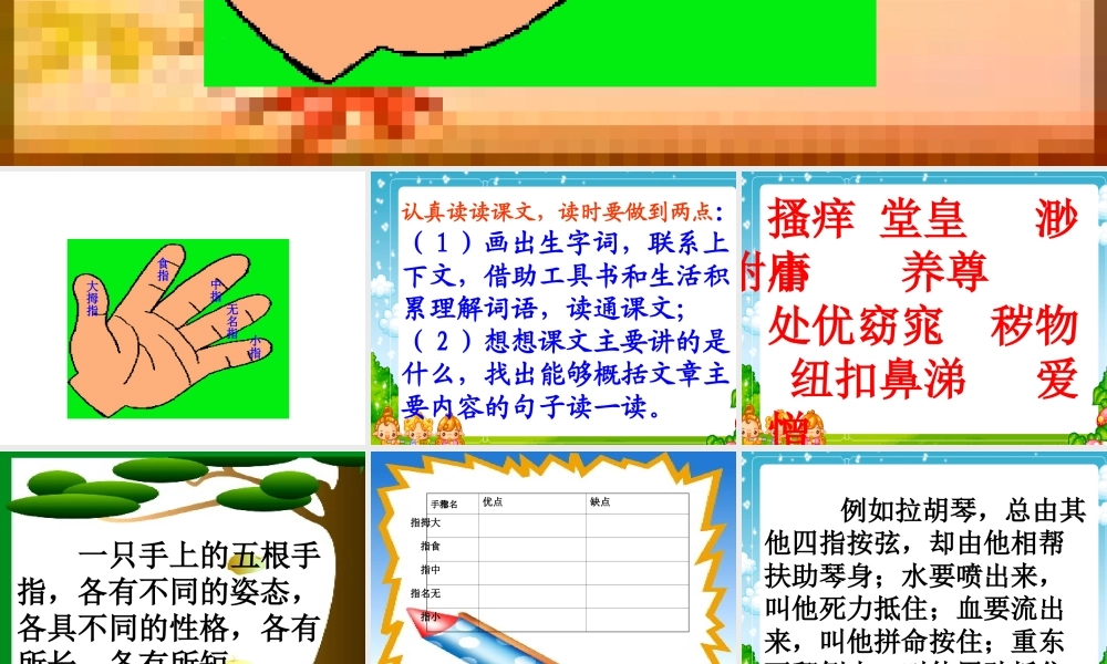 《手指》课件4