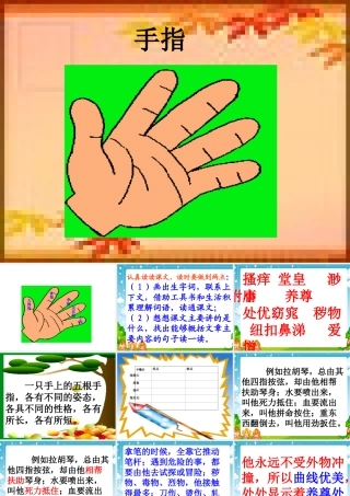 《手指》课件4