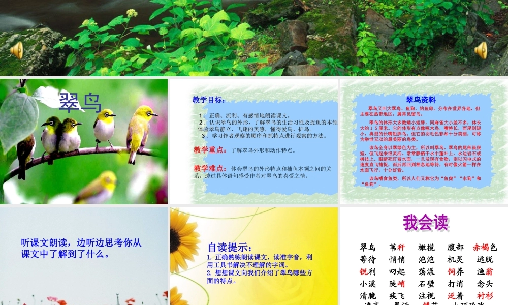 《翠鸟》课件 (3)