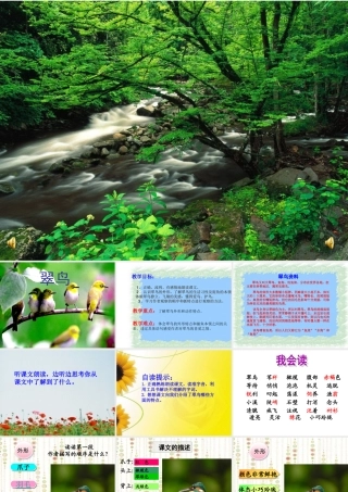 《翠鸟》课件 (3)