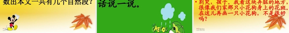 (教科版)二年级语文下册课件《苏红的画》