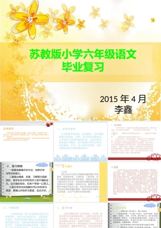 六年级语文毕业复习建议 (2)