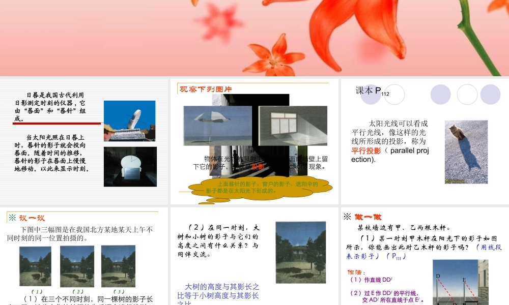 九上42太阳光与影子