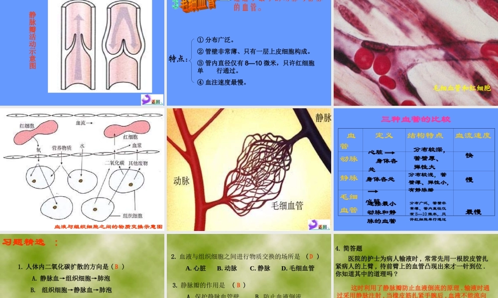 人教版七年级生物下册第四单元第四章第二节血流的管道——血管（共23张PPT）
