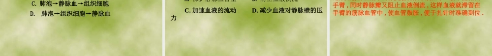 人教版七年级生物下册第四单元第四章第二节血流的管道——血管（共23张PPT）