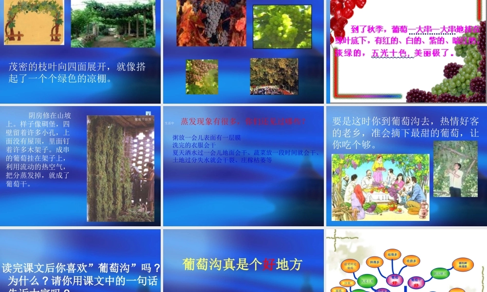 、葡萄沟课件