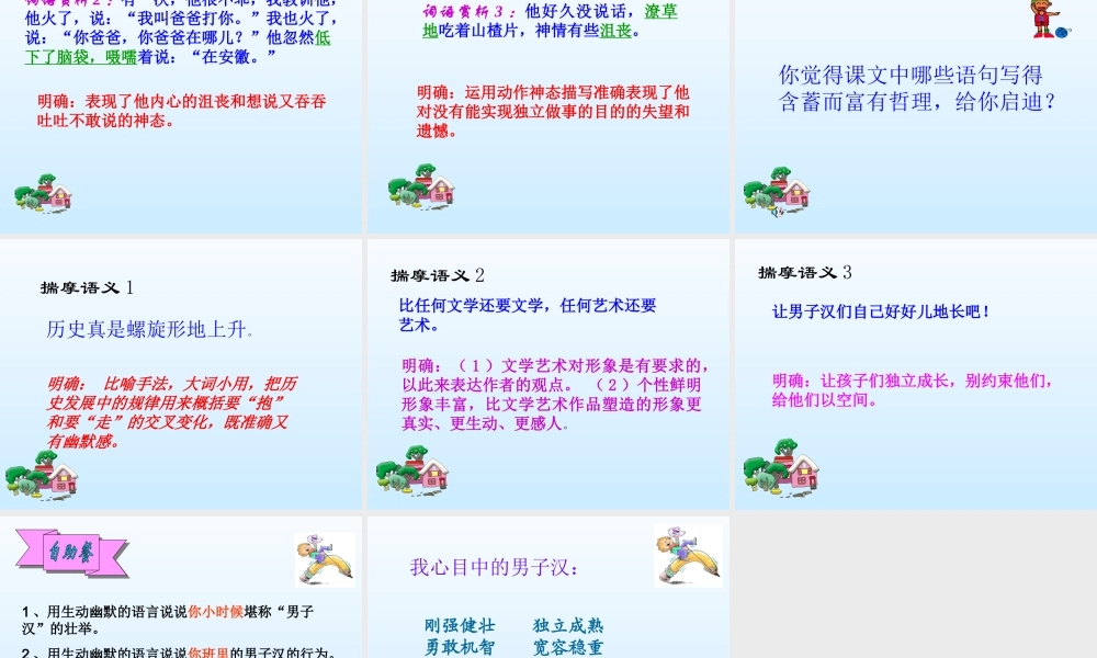 《我们家的男子汉》