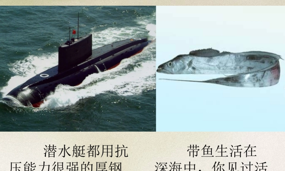 研究液体的压强沪科版