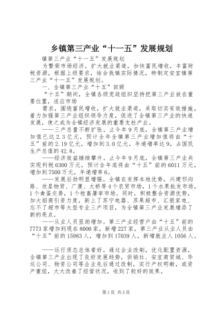 乡镇第三产业“十一五”发展规划 