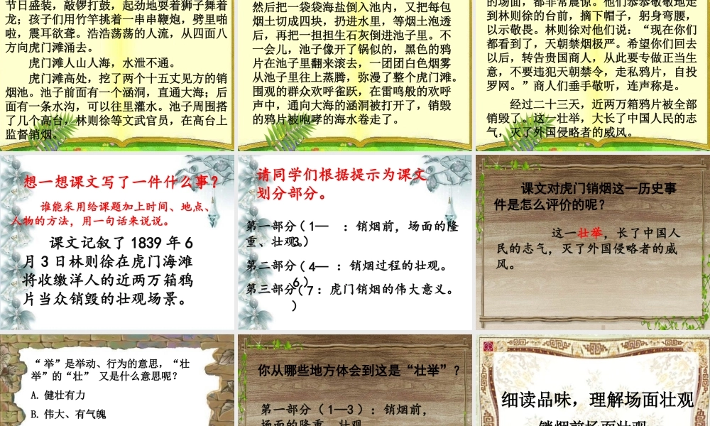 《虎门销烟》杨顺琼