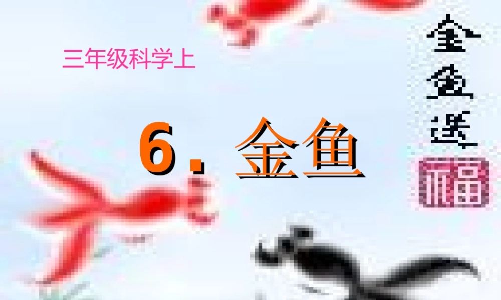 小学科学_三年级上册__金鱼