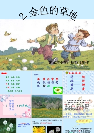 《金色的草地》课件 (2)