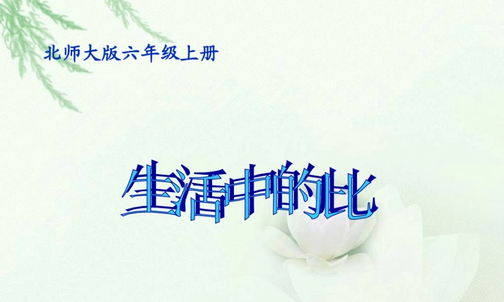 （北师大版）六年级数学上册课件生活中的比