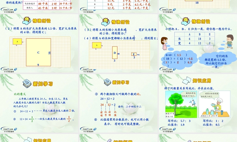 （北师大版）六年级数学上册课件生活中的比