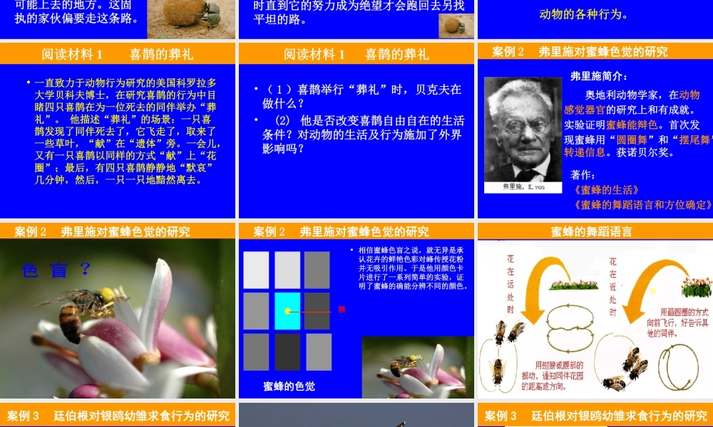 八生下研究动物行为的方法（课件）