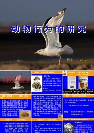 八生下研究动物行为的方法（课件）