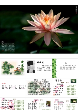 爱莲说 (3)