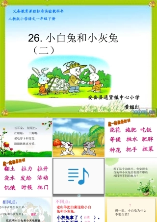 课件小白兔和小灰兔