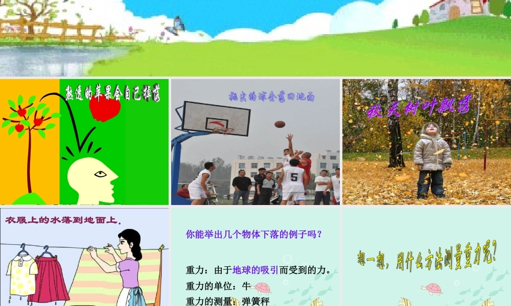 苹果为什么会落地