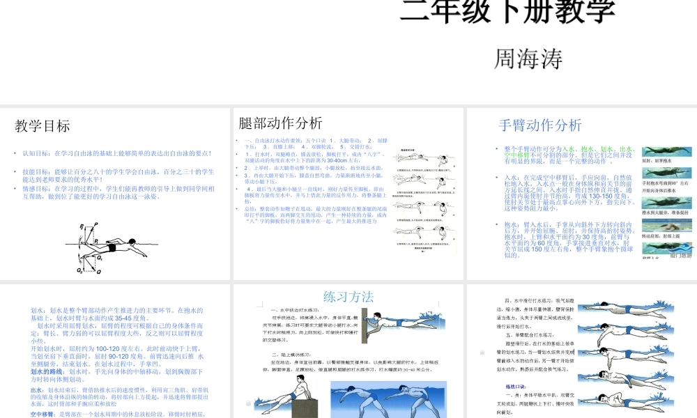 自由泳教学PPT