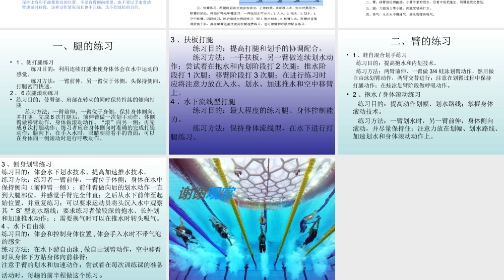 自由泳教学PPT