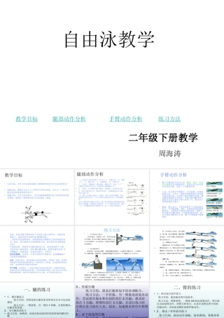 自由泳教学PPT