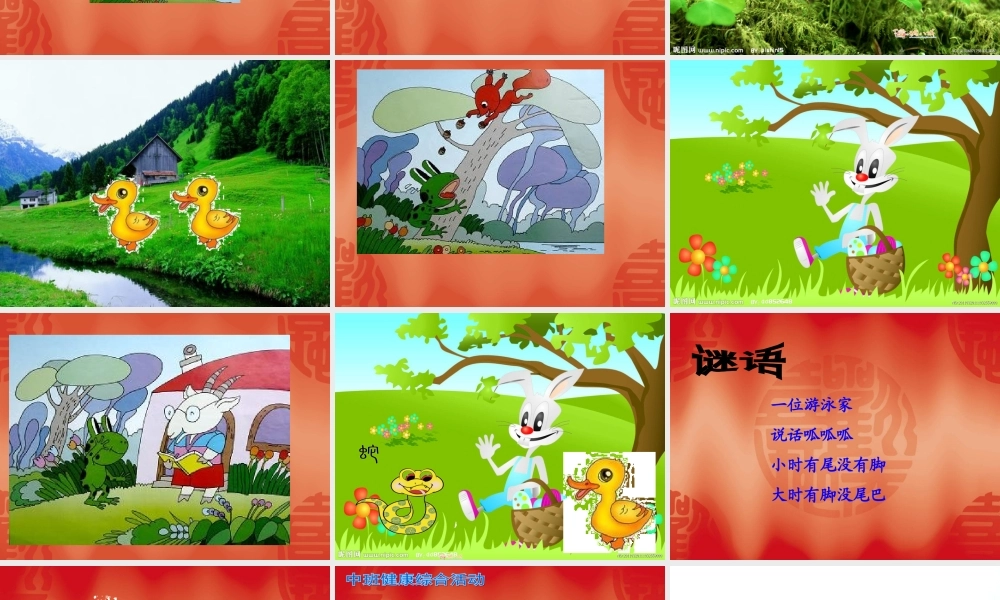 青蛙本领大课件