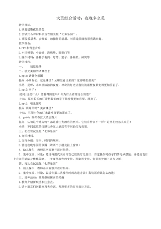 大班综合活动《夜晚多么美》
