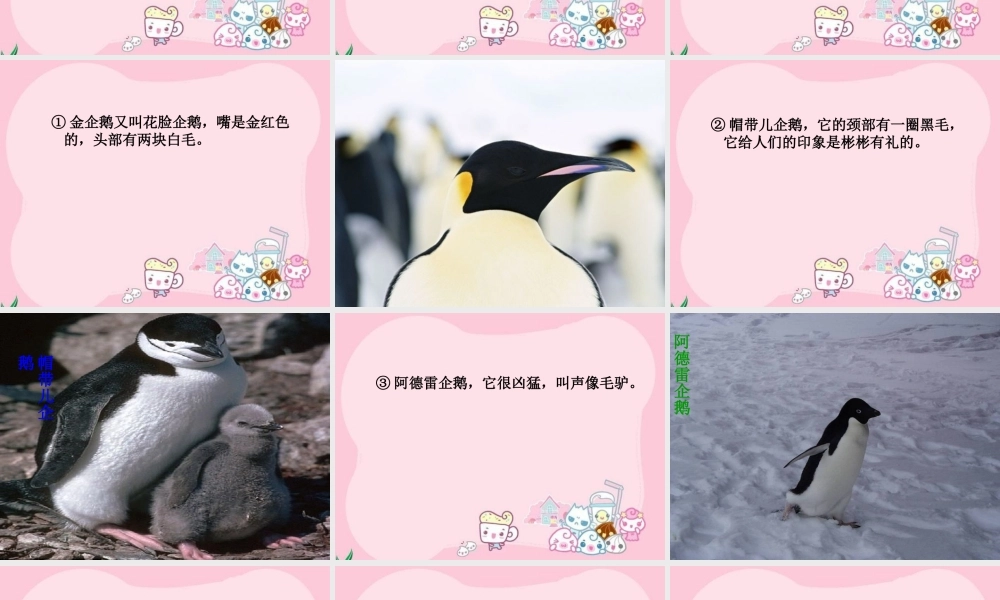 《登上企鹅岛》课件（语文S版三年级下册课件）