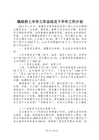 镇政府上半年工作总结及下半年工作计划 